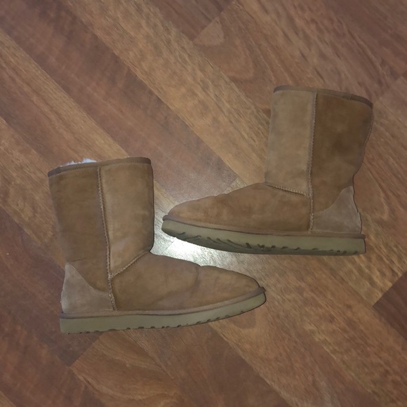 UGG Shoes - UGG Classic Short Chestnut Boots